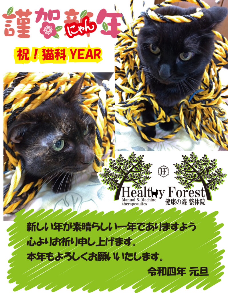 2023年　猫だらけの年賀状　謹賀新年(謹賀にゃん年)　寅年にちなみ、トラ紐まみれの2匹の猫が新年のごあいさつです。健康の森整体院
